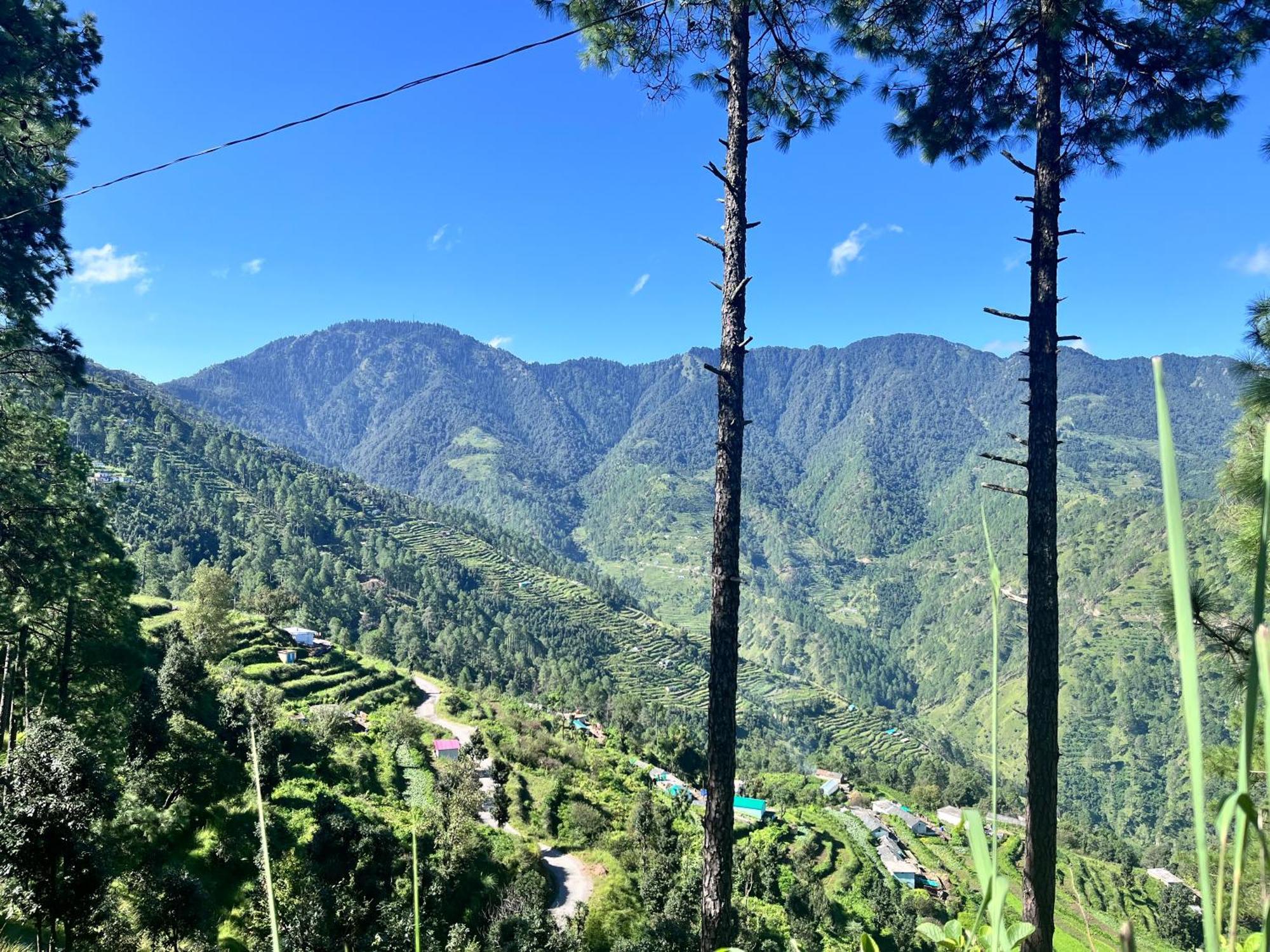 Himalayan Hill Top Resort Канатал Екстериор снимка